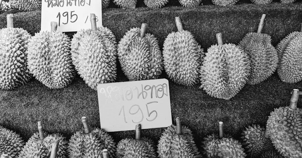 複数のゲーム買取業者を比較して一番高く売る戦略