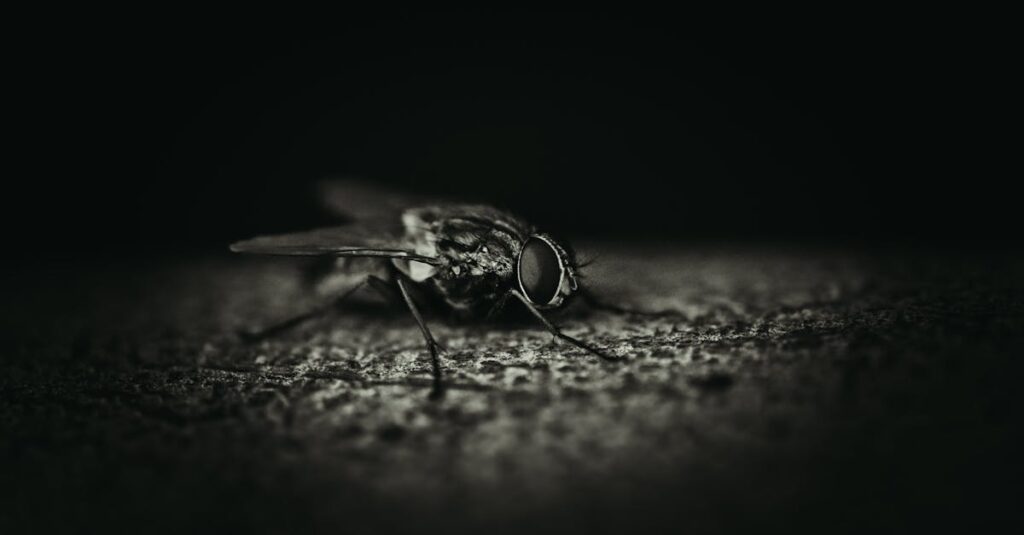 害獣駆除業者の見積もりを比較している様子。安さの罠を避けるために複数見積もりを取る重要性を示す