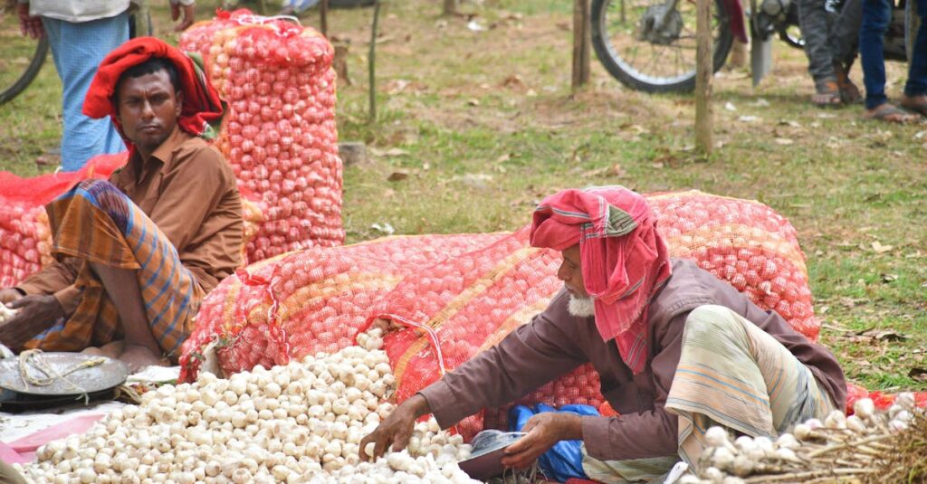 ピアノ買取で損する典型的な例。1社のみ査定し損する利用者のイメージ