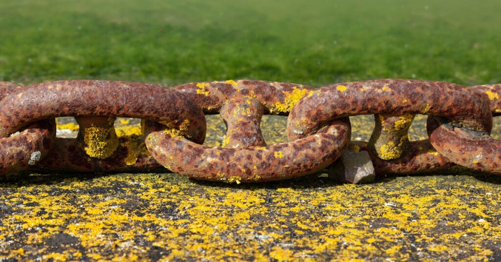 Cha Cha Chaは0歳から6歳までの年齢に応じた知育玩具をカスタマイズして提供します。