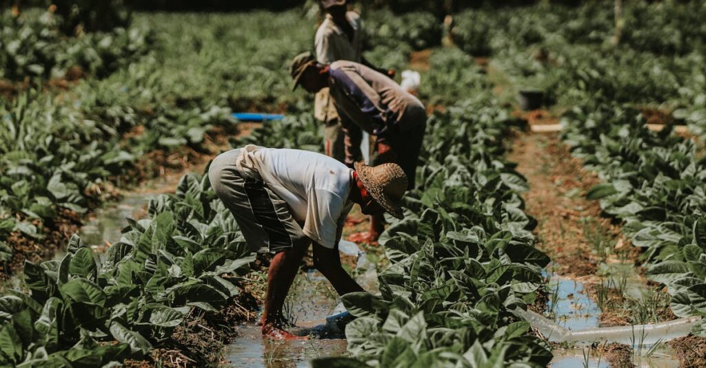地域密着の介護施設と全国展開の介護事業者で働くスタイルの違いを比較する様子
