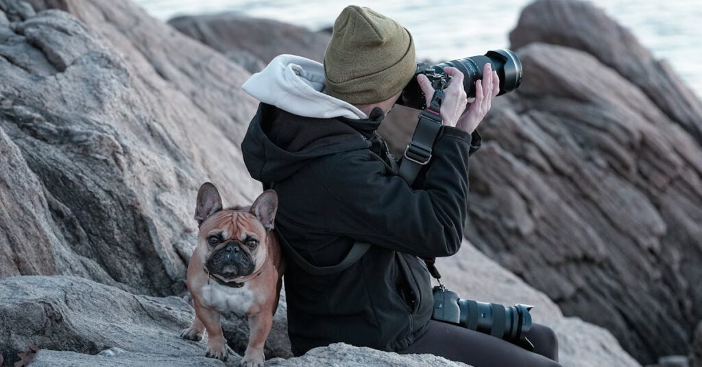 Cha Cha Chaの初月1円キャンペーンは公式ページから申し込むことで適用されるお得なプロモーションです。