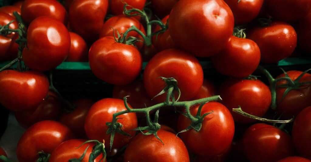 健康や食に関する通信講座で学ぶ女性が資料を読む様子