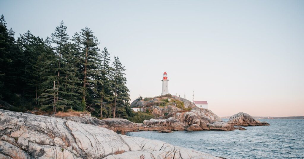 初月1円キャンペーンには最低利用期間や申込条件などの注意点があり、事前確認が必要です。